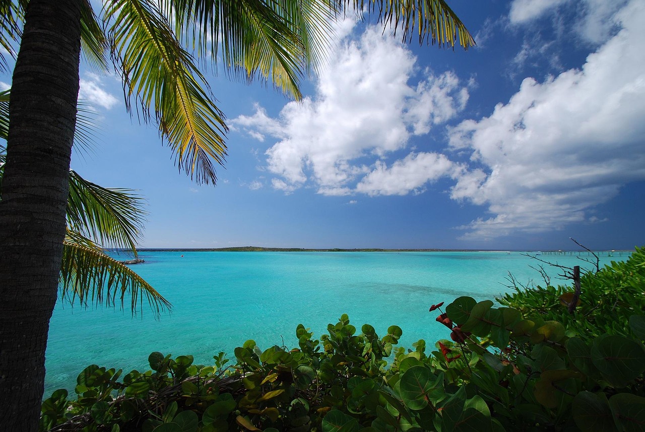 Turquoise Caribbean water seen through palm trees