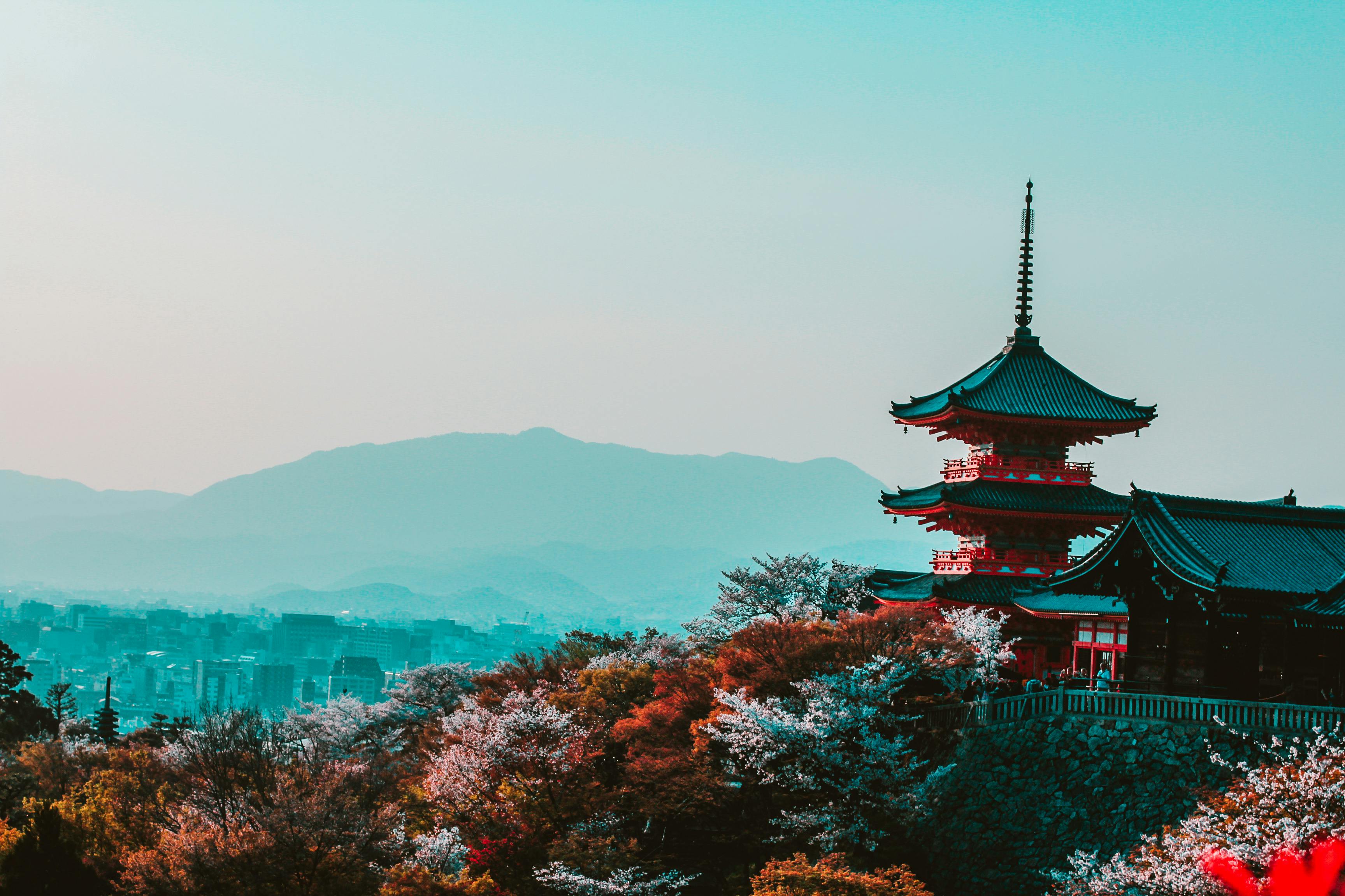Ancient Traditions & Future Dreams: A Japan Highlights Tour