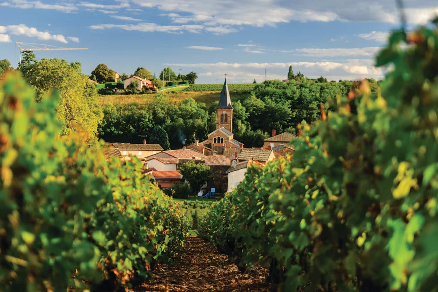 Beaujolais Wine Region