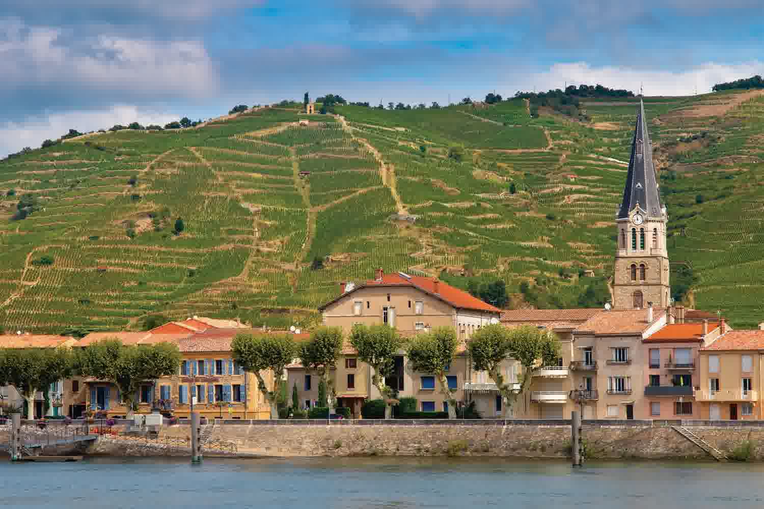 Tournon & Viviers
