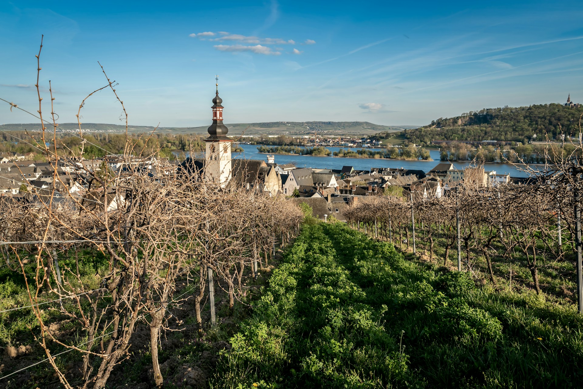 Sip, Savor & Sail: Discover the Colors of Provence 2026 with AmaWaterways