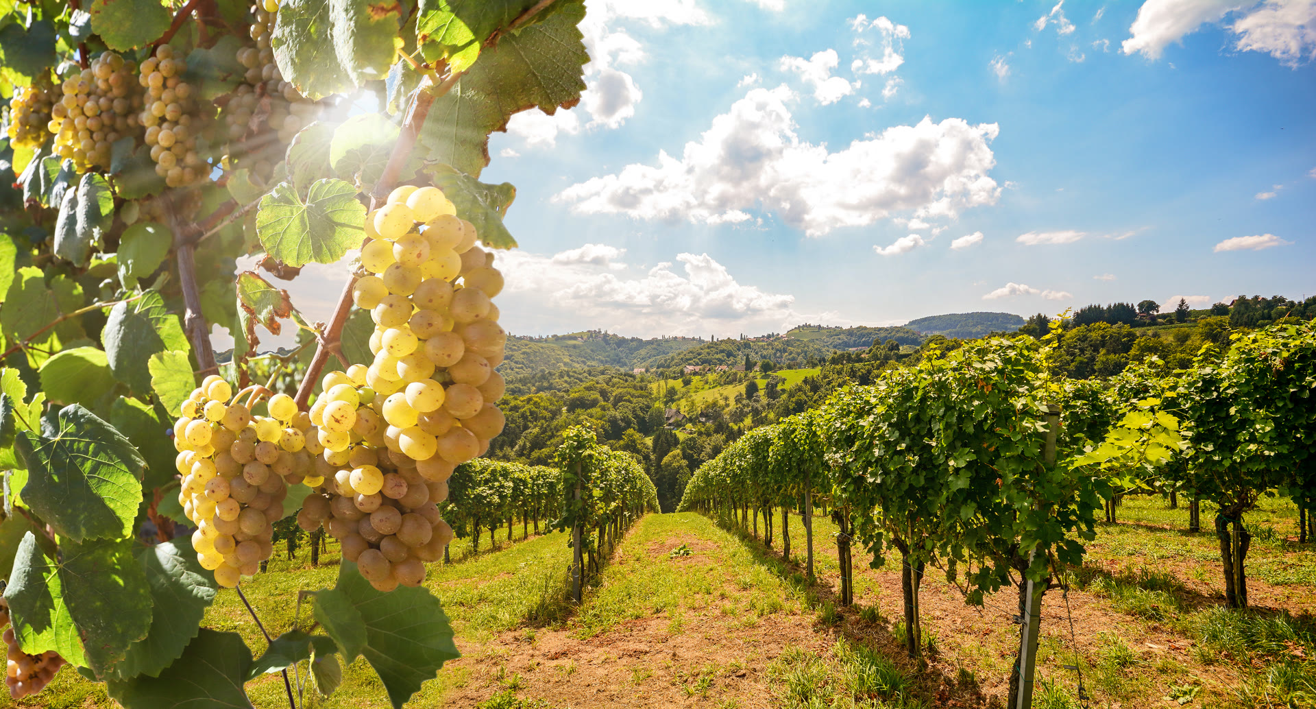 Cultural & Culinary Travel