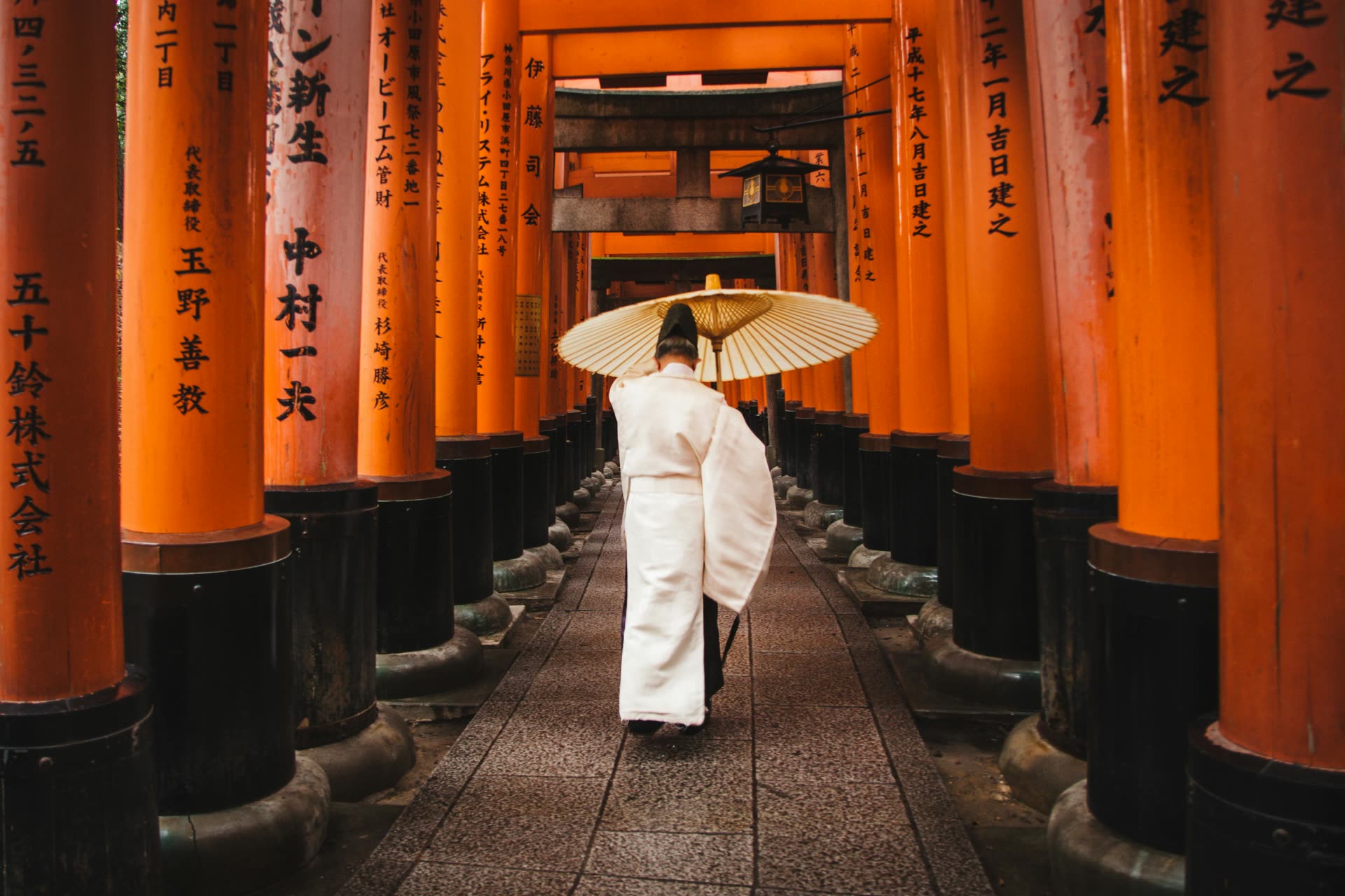 Ancient Wonders of Japan