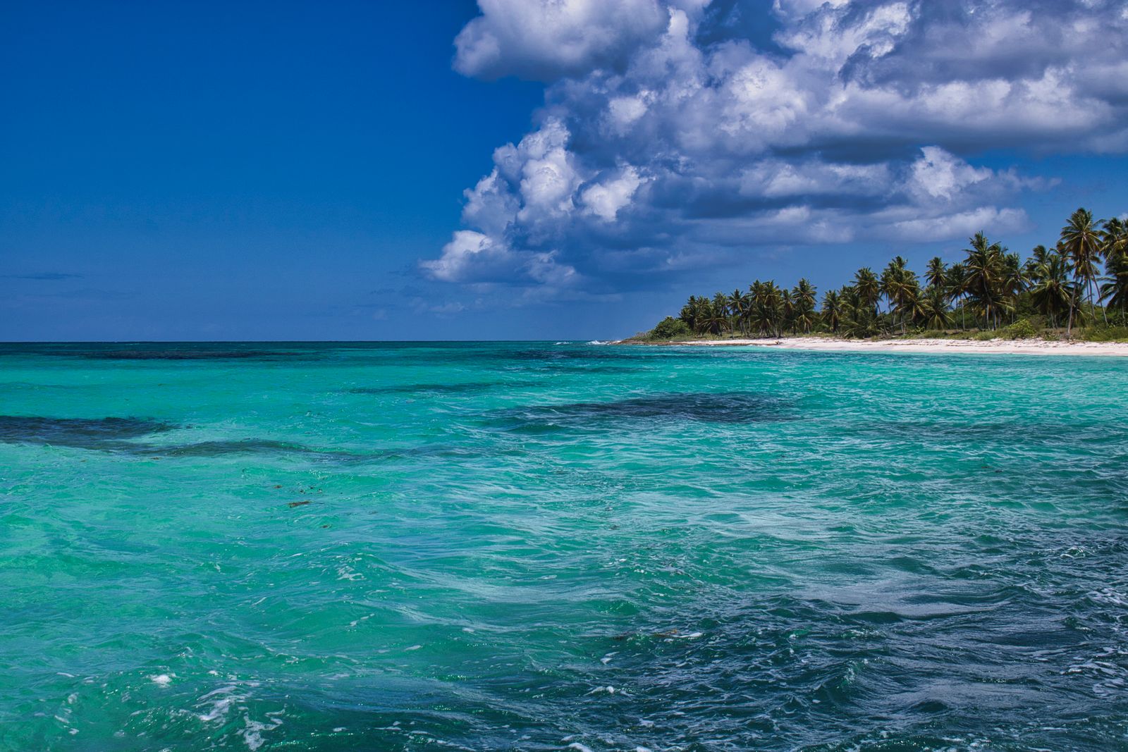 Turquoise Caribbean water and a palm-lined white sand beach