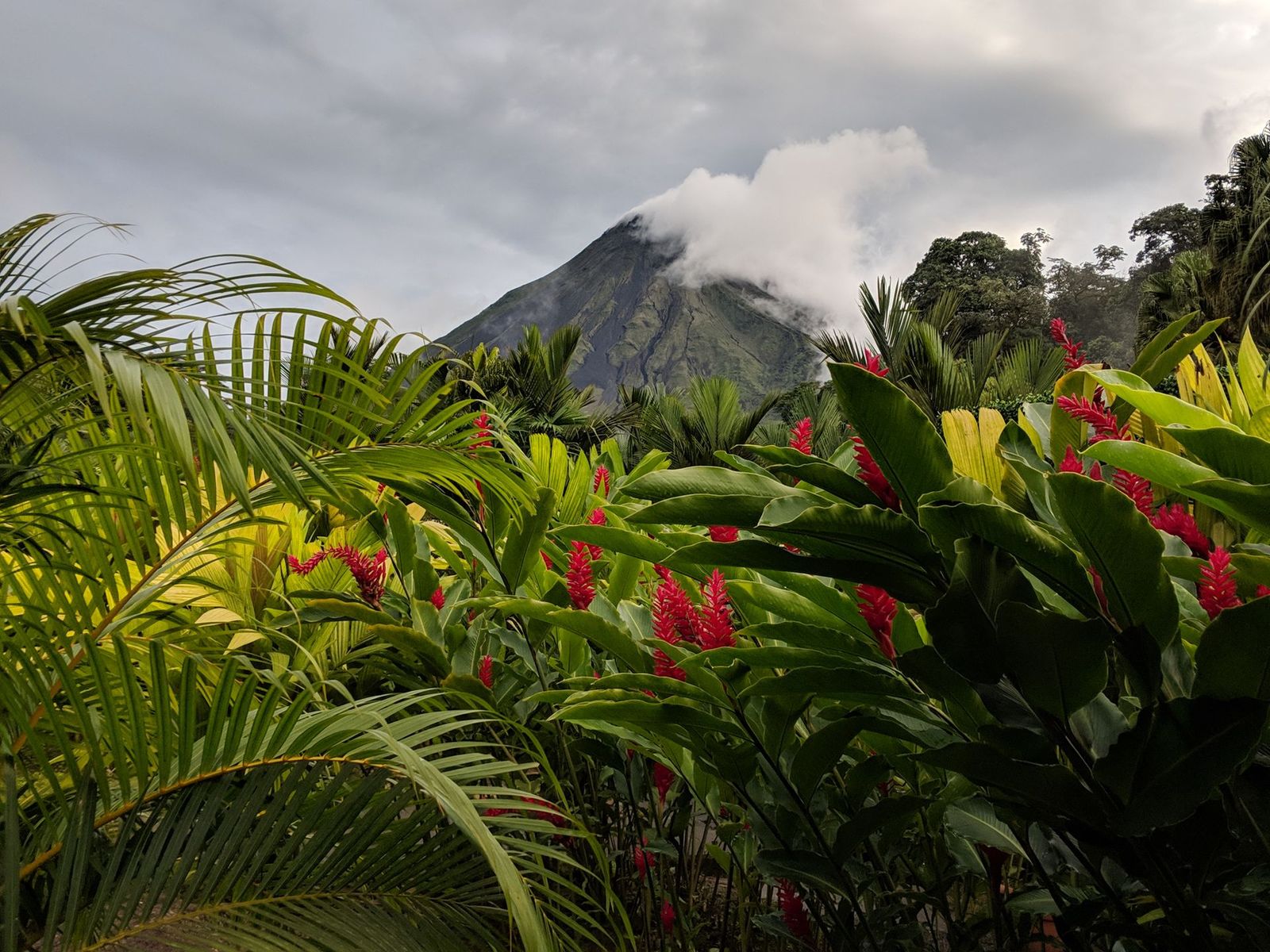 La Fortuna and Arenal
