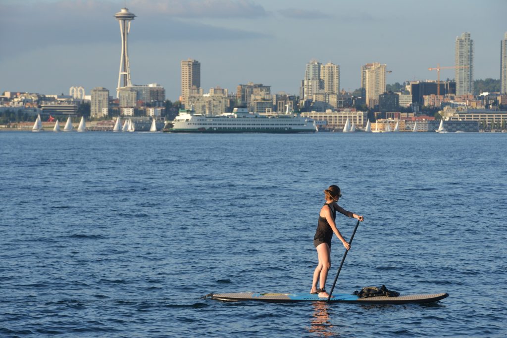 paddle board