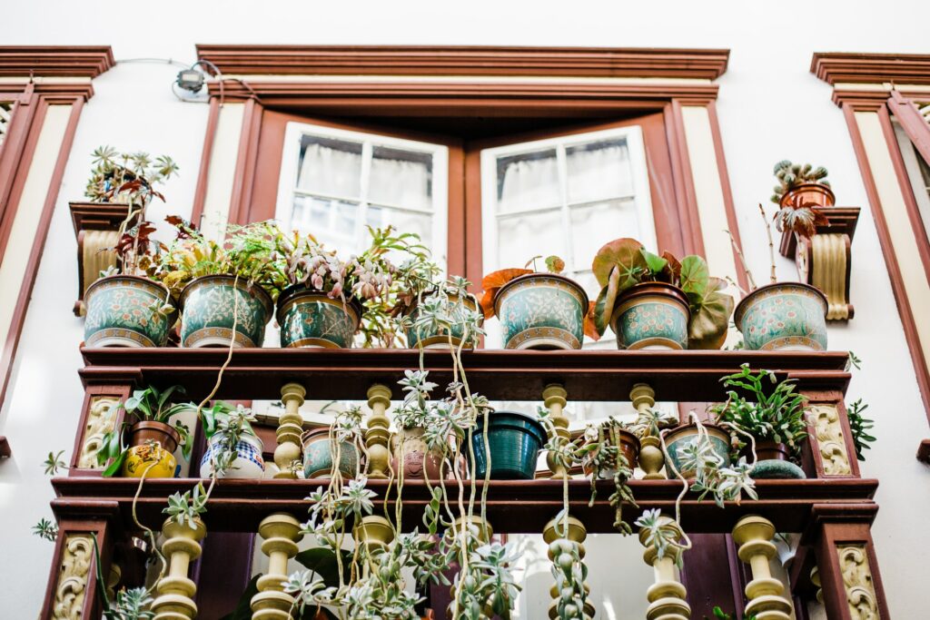 Bring the luxury hotel experience home by focusing on a garden in your window