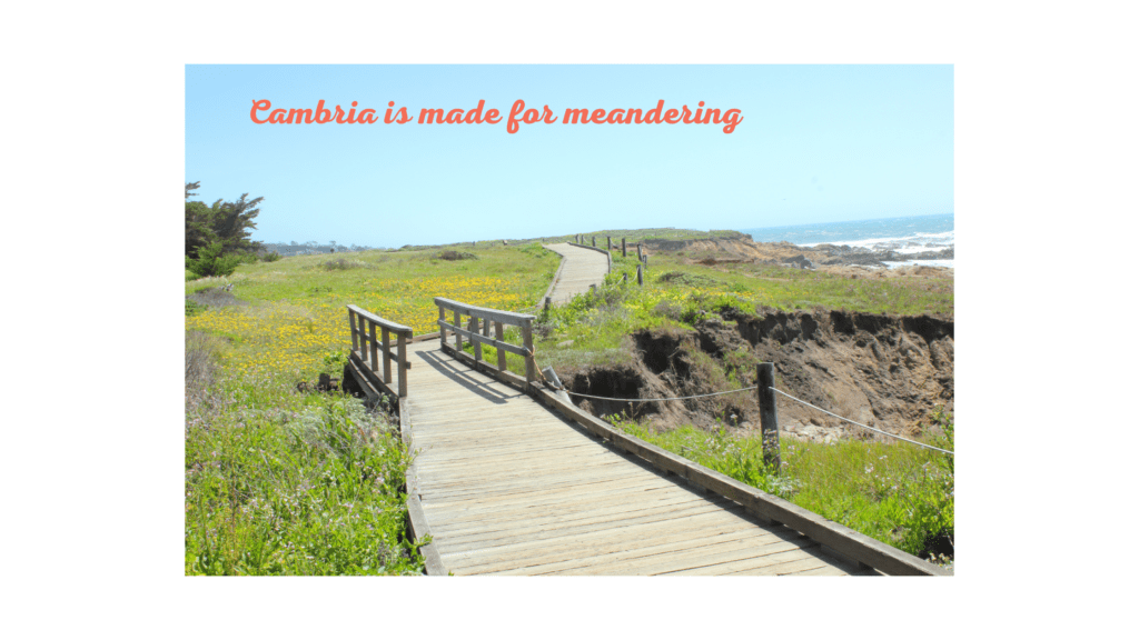 Cambria