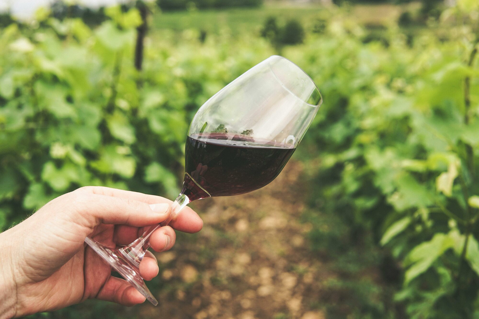 Intimate wine dinner abroad