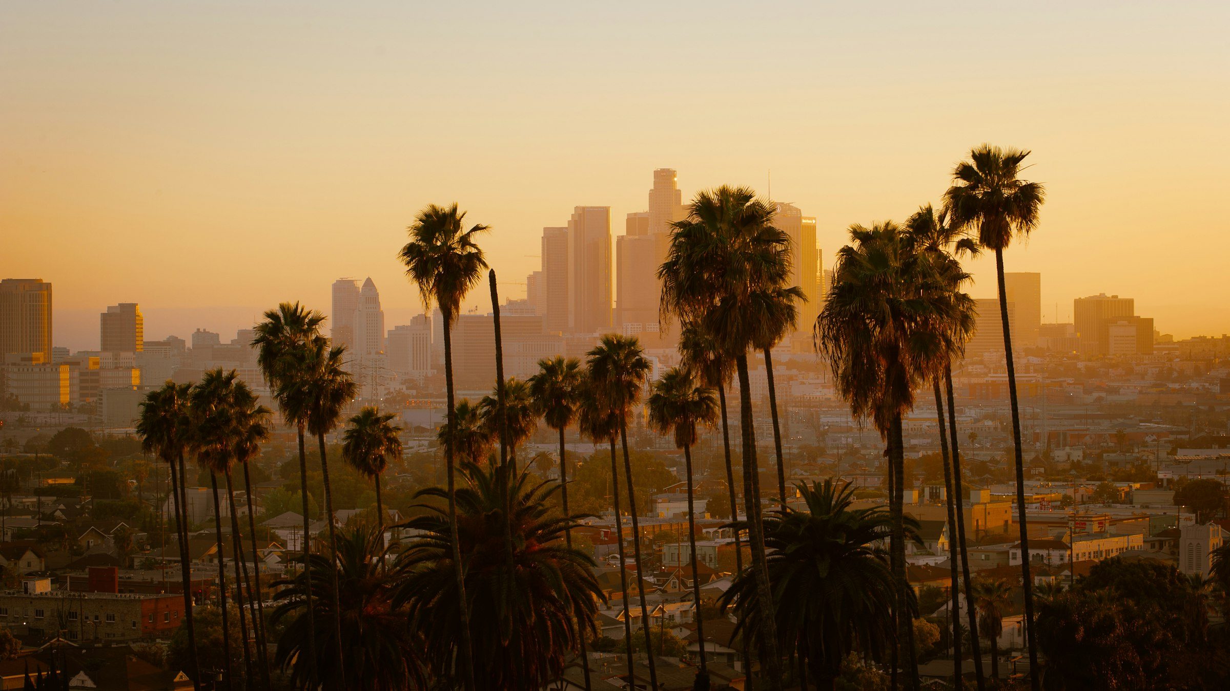 Palm trees and the downtown Los Angeles skyline at golden hour