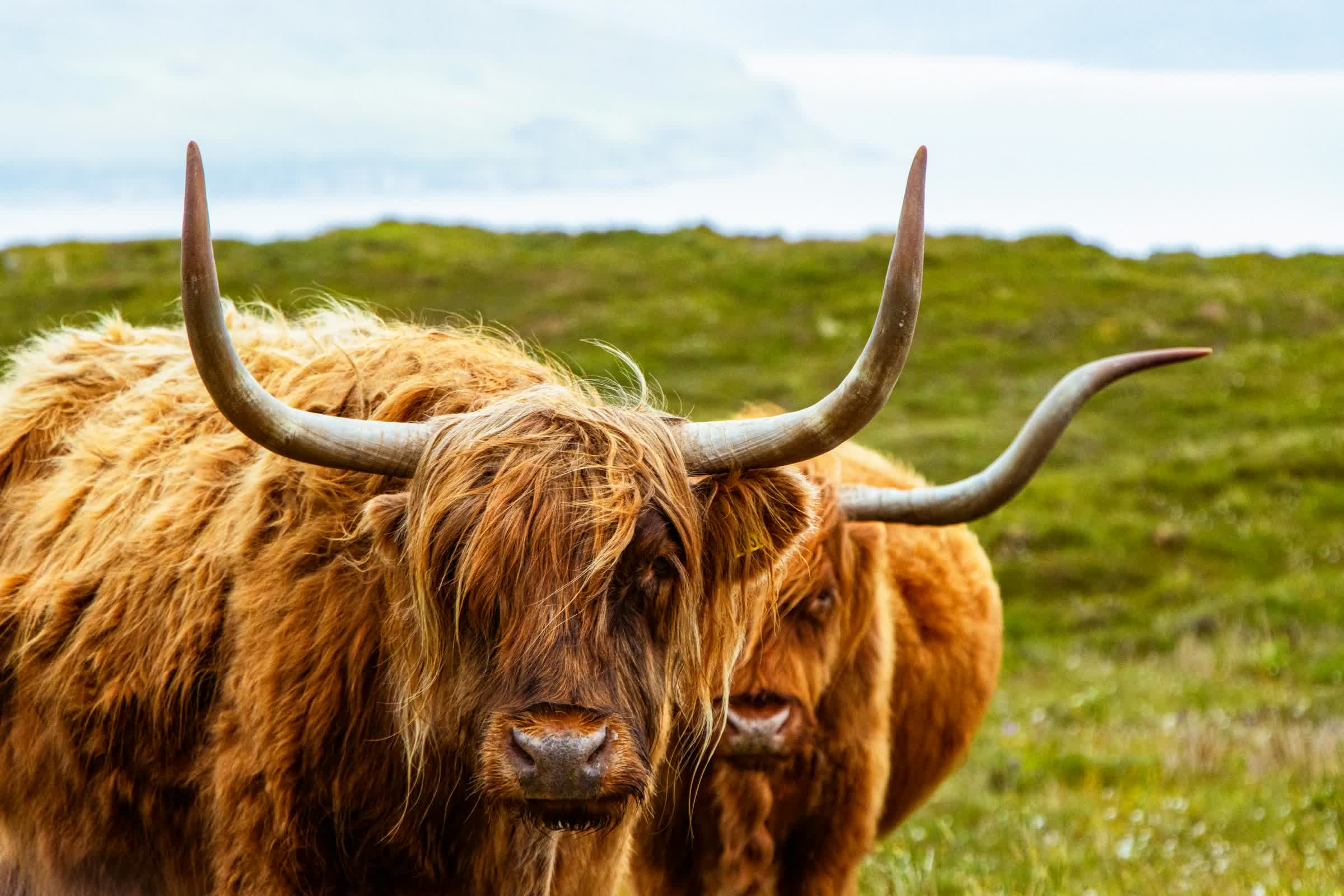 An Extraordinary Journey Through Scotland