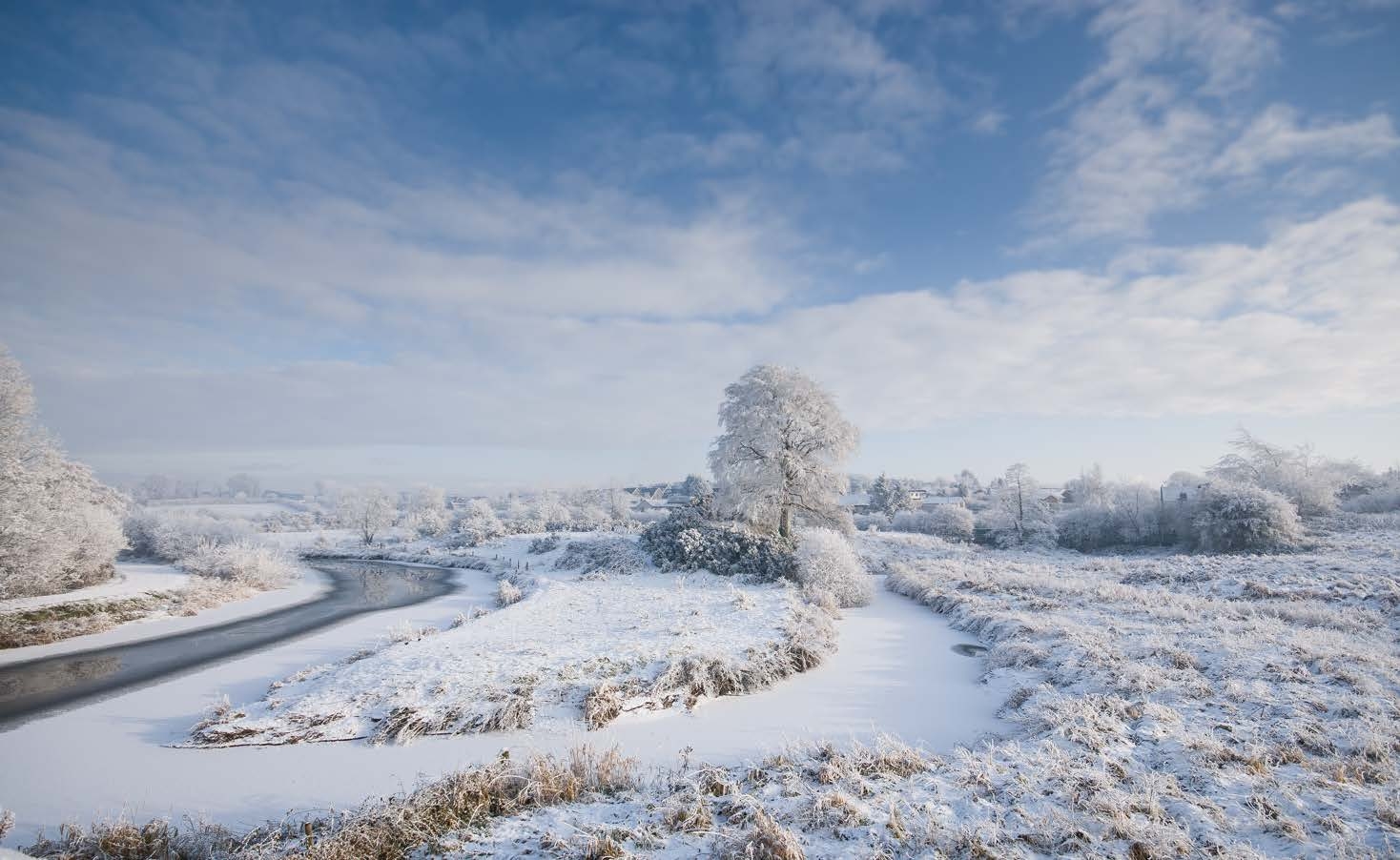 Irish Christmas Adventure