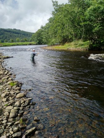 River Tay fishing