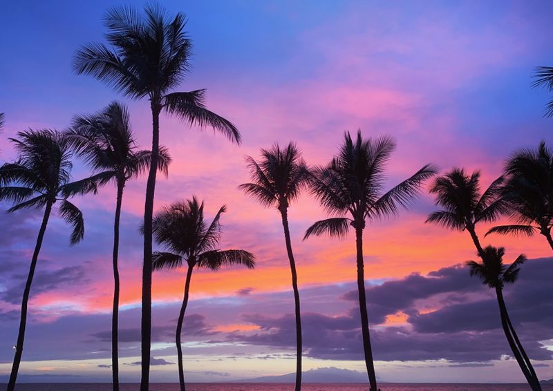 Hawaii destination wedding venue