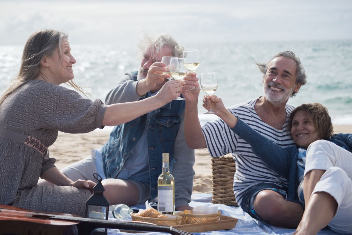 A group of friends raising a toast at a picnic on the beach