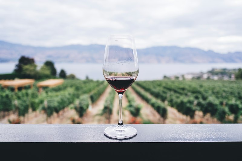 Brda Wine Region