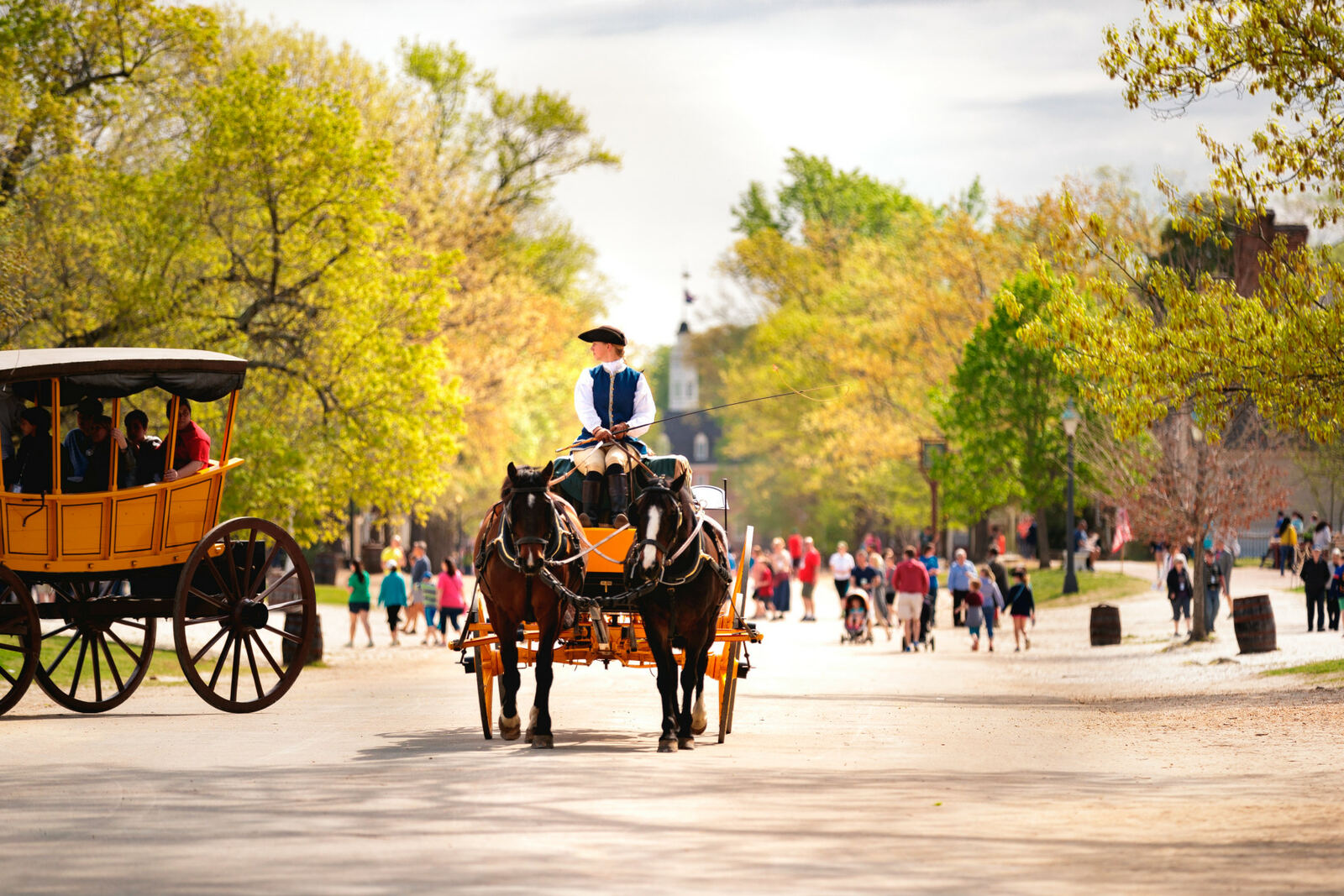 A horse-drawn carriage on a tree-lined street in Colonial Williamsburg