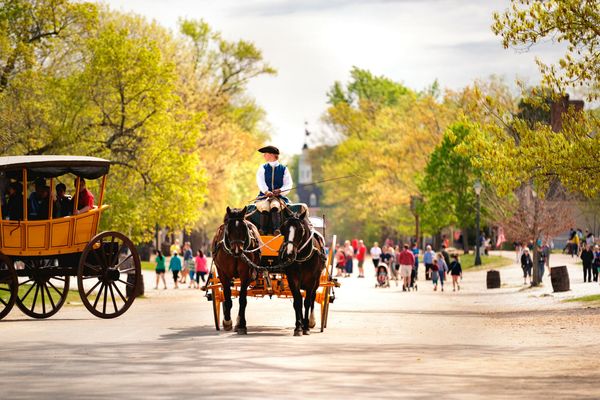 A carriage ride through Colonial Williamsburg