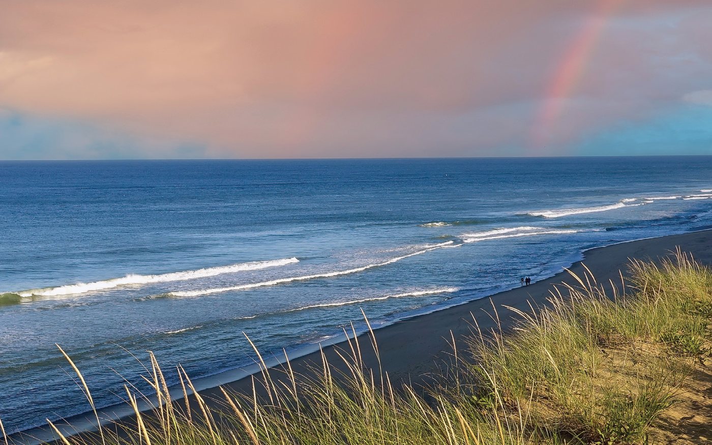 Dune grass above a wide ocean beach