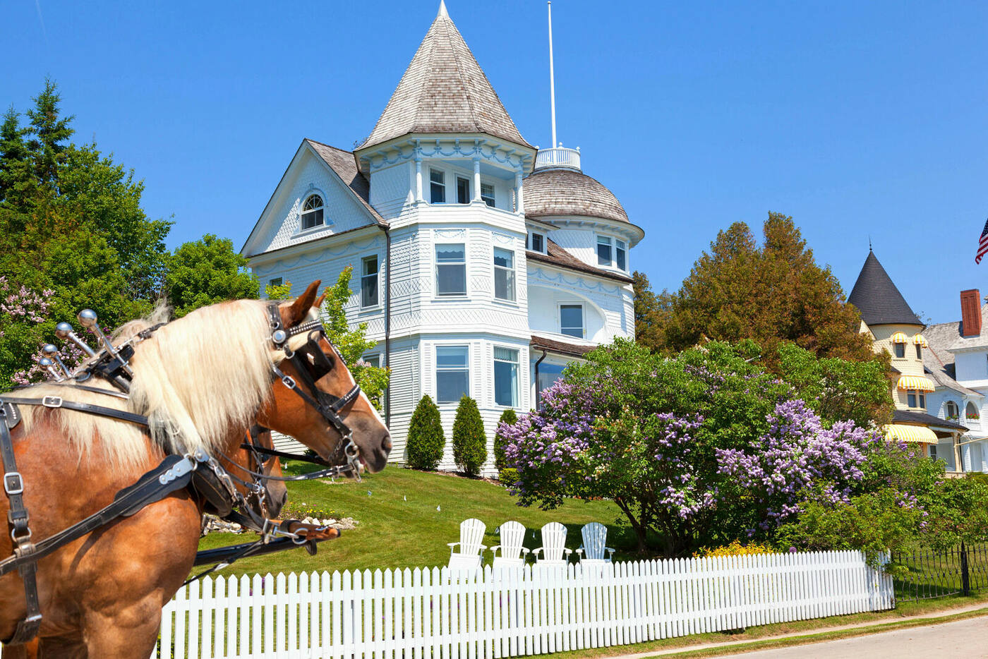 A carriage horse in front of a Victorian cottage on Mackinac Island