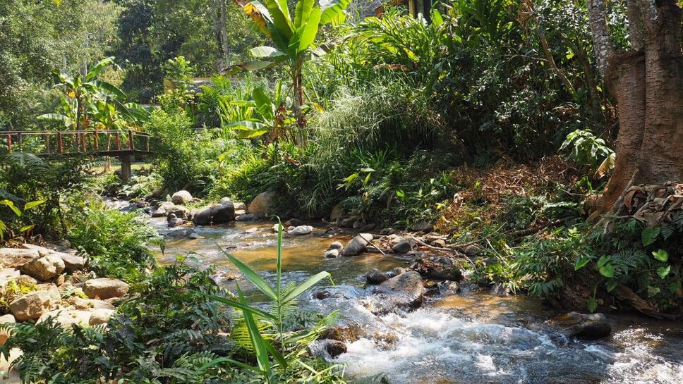 Chiang Mai villas and rice paddies