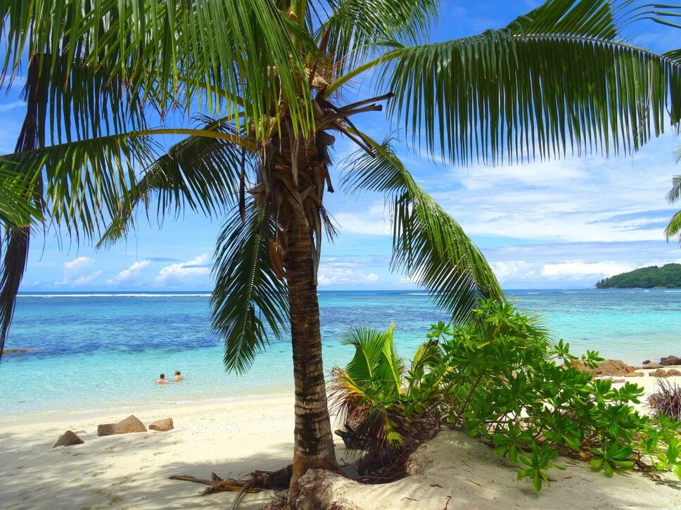 Seychelles beach