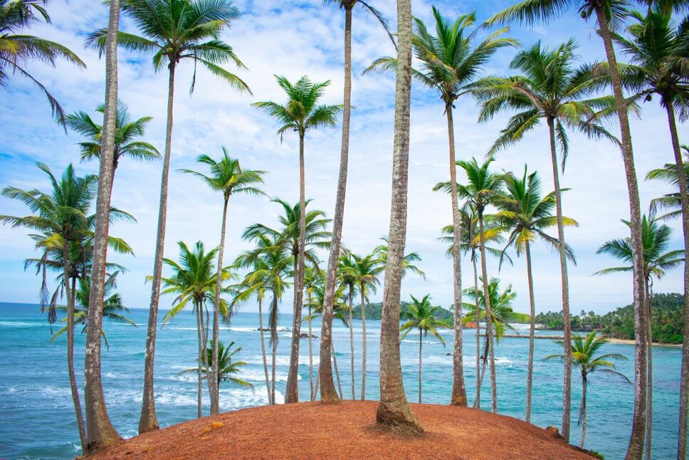 Southern Sri Lanka beach