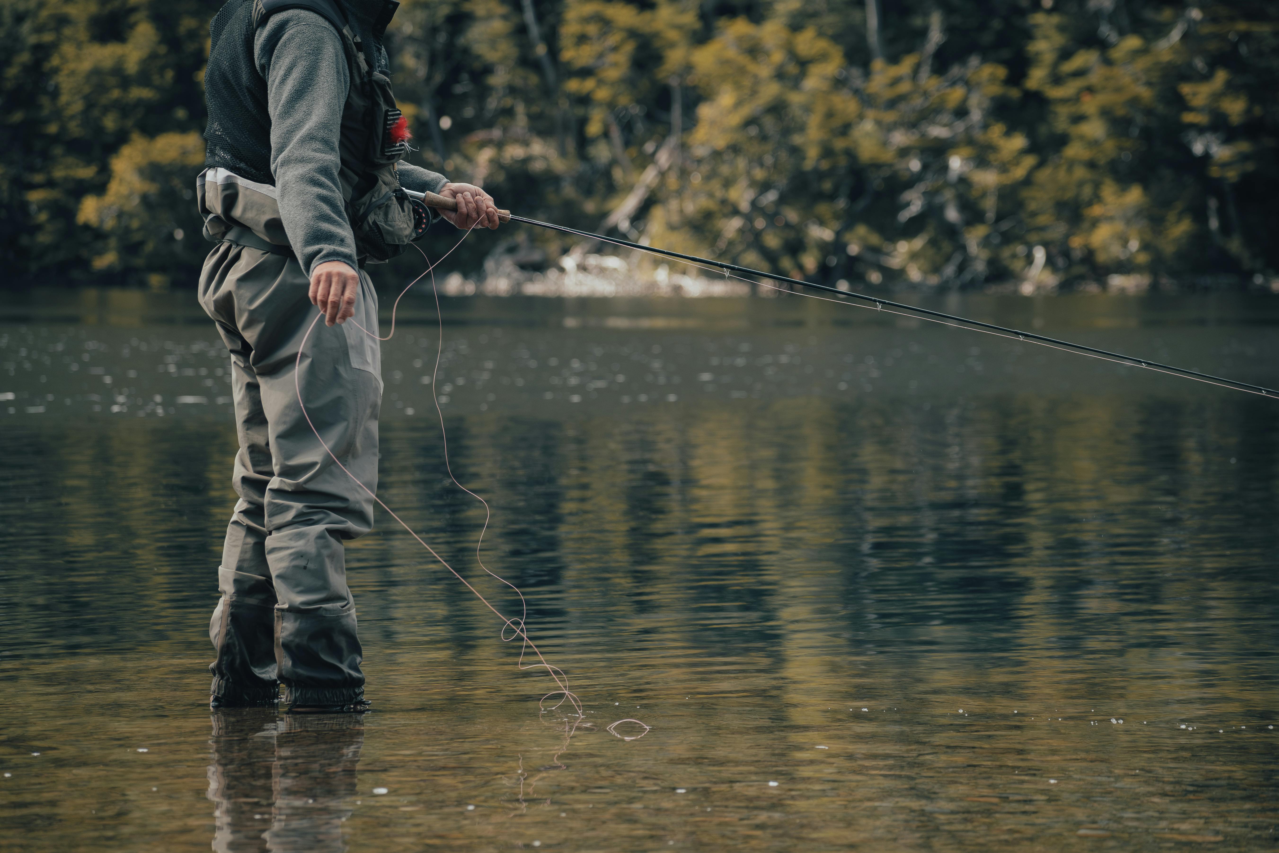 Pexels Gasparzaldo 26738294