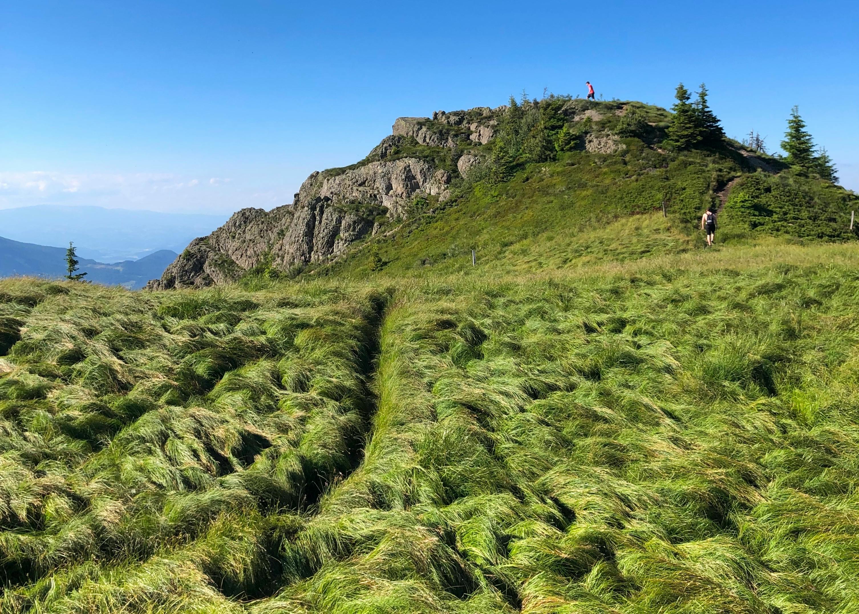 Pexels Petra Obojnik 2148765837 30415948