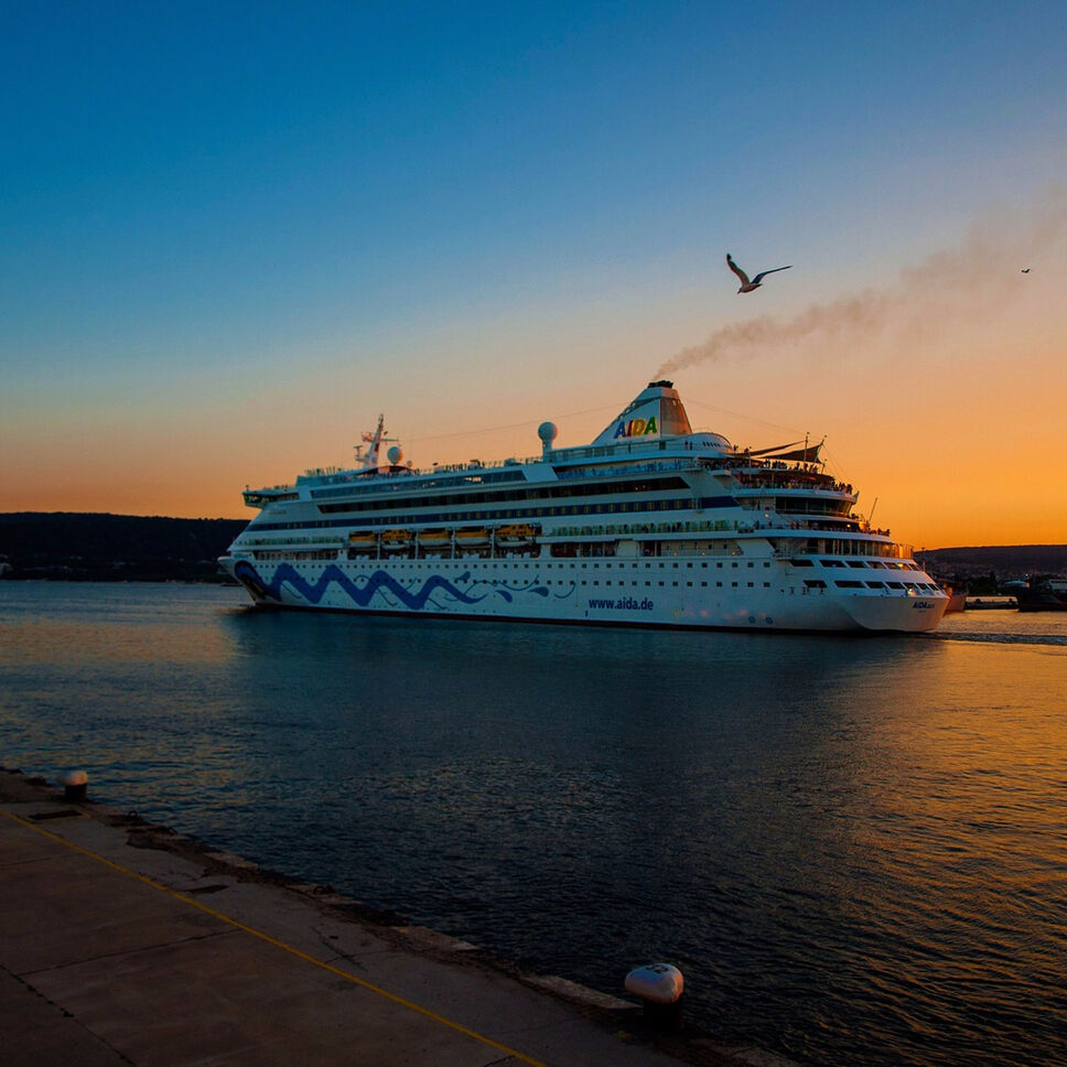 A cruise ship at sunset with a seagull flying in the foreground
