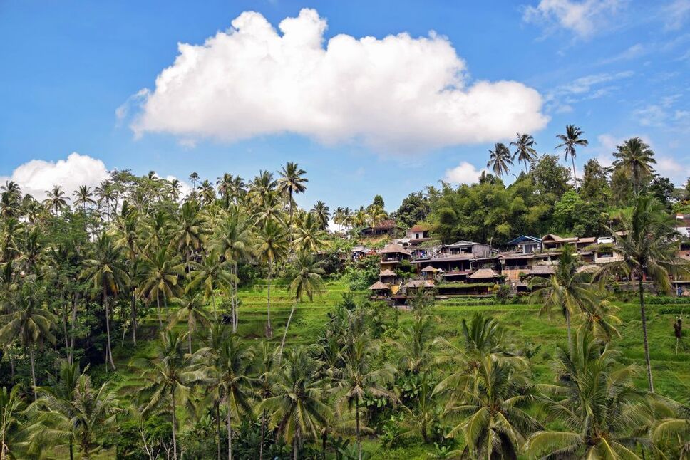 Ubud, bali