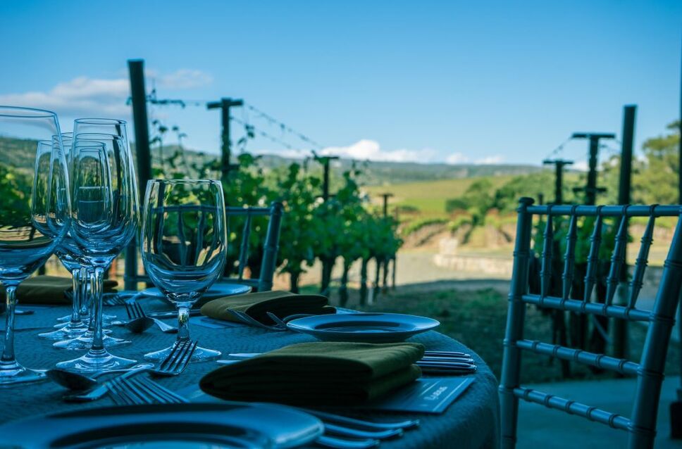 Wine harvesting season in Napa Valley