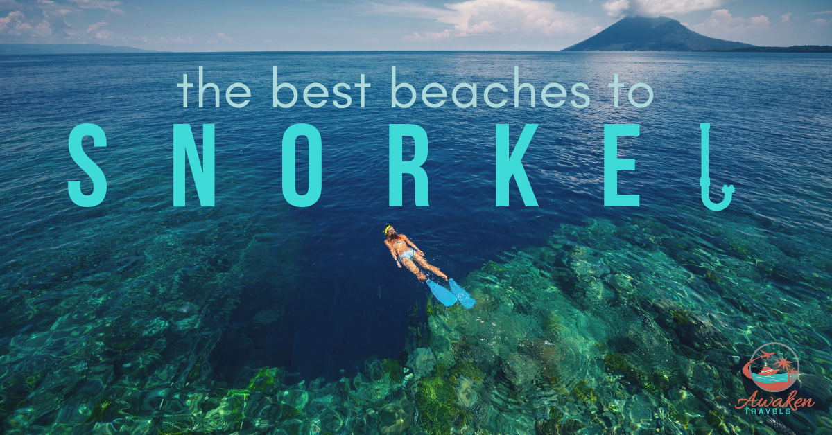 The Top 5 Snorkel Destinations in the World
