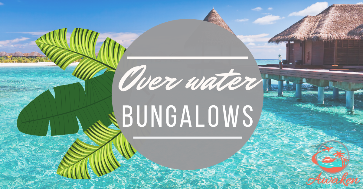 Overwater Bungalows: A Tropical Paradise
