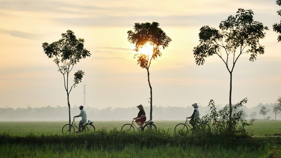 Indonesia bicycle
