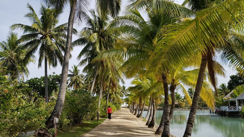 Fiji boardwalk