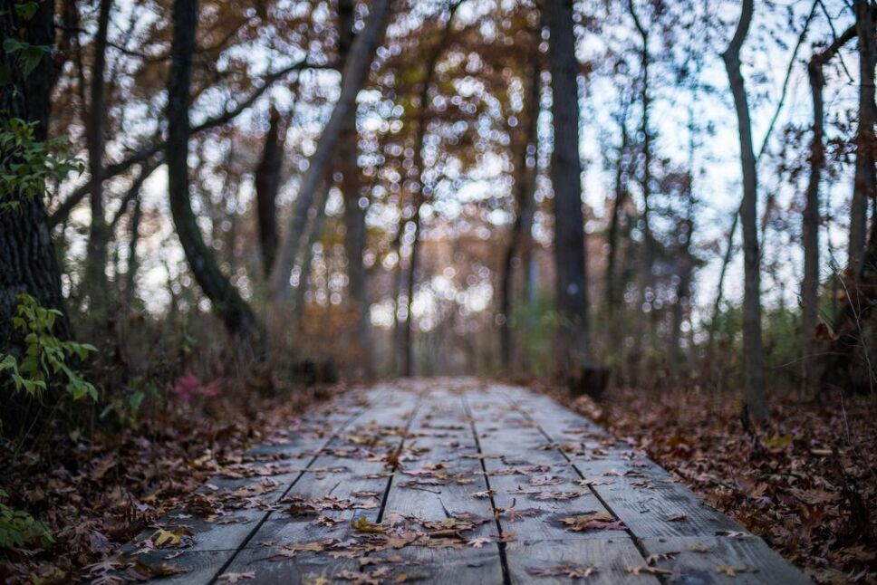 fall hiking