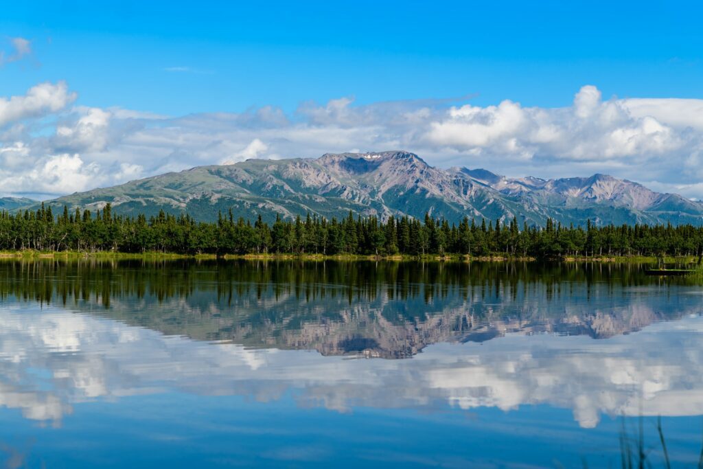 views at Denali National Park in Alaska