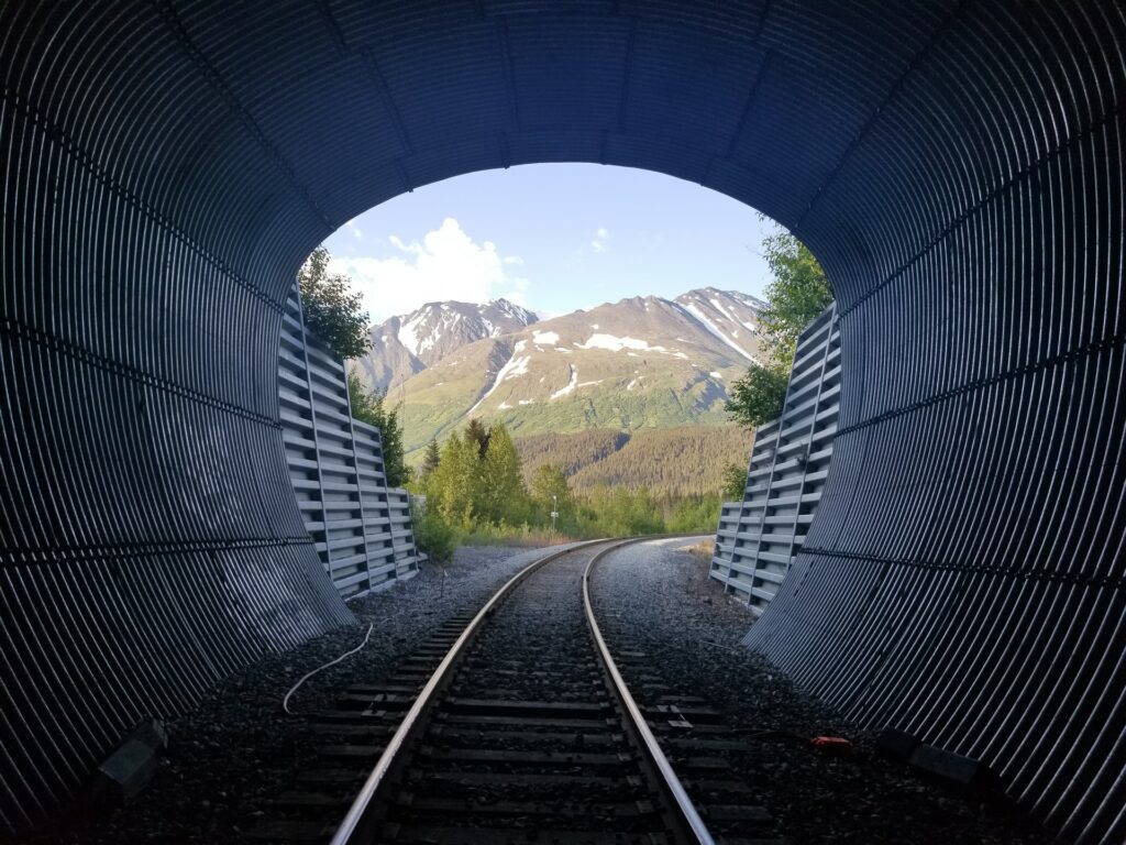 Alaskan railroad in the summer