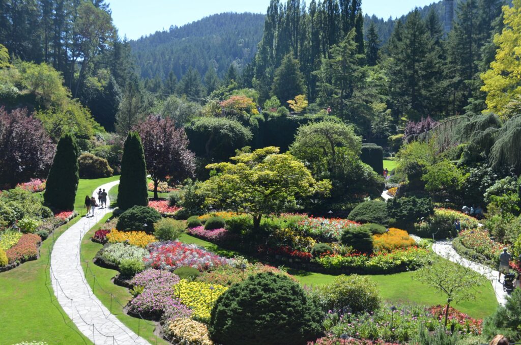 a high view of Butchant Gardens in Canada with a tree-lined path winding through a green garden.