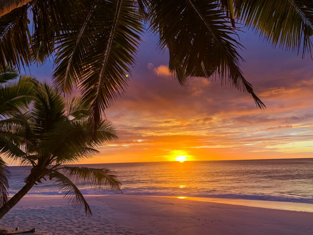 the sunset on a tropical beach for the new year