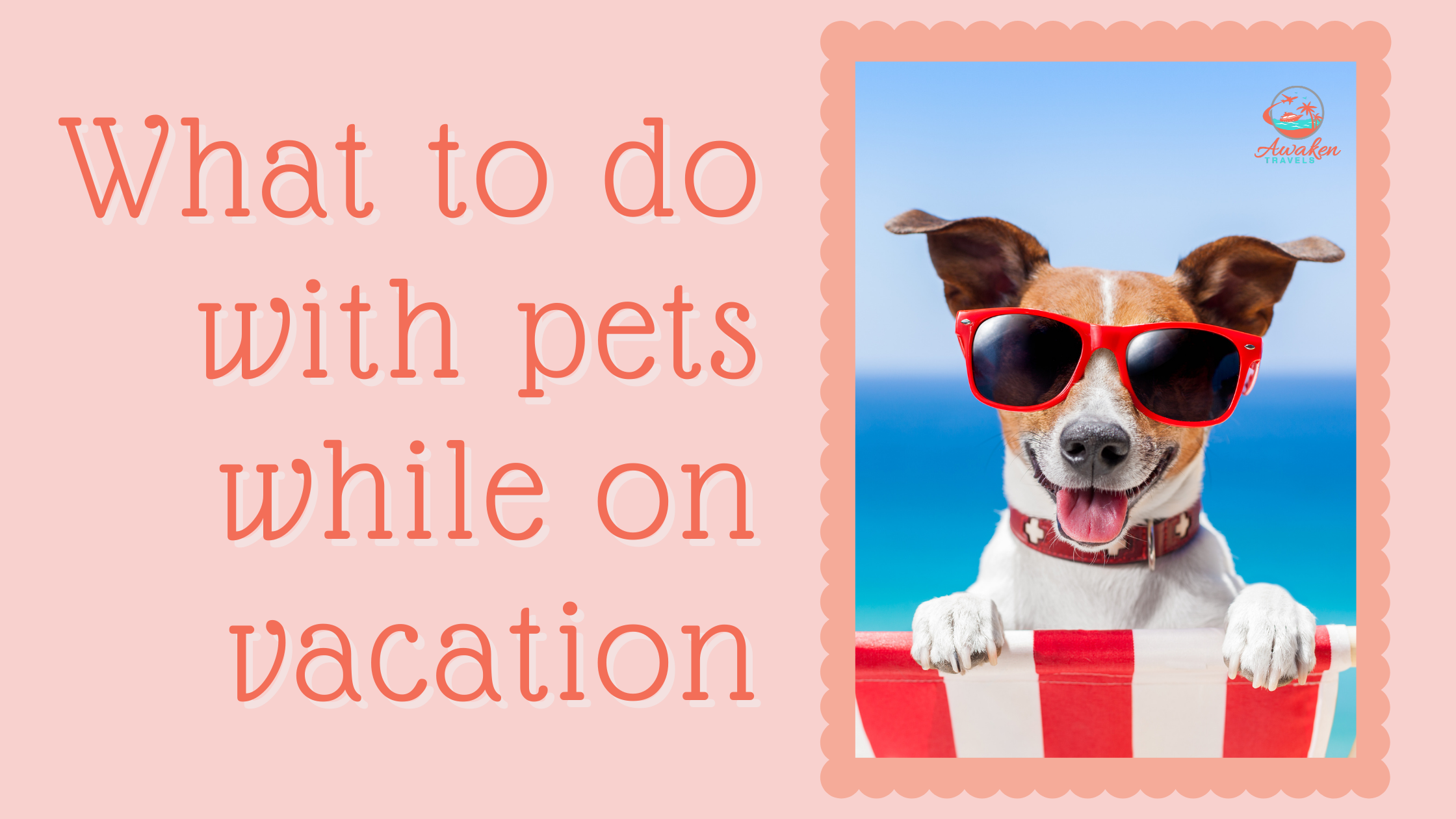 Expert tips for what to do with your pets while on vacation