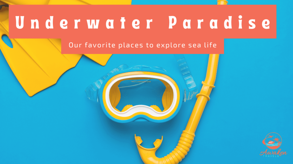 The 7 Best Destinations for Underwater Exploration