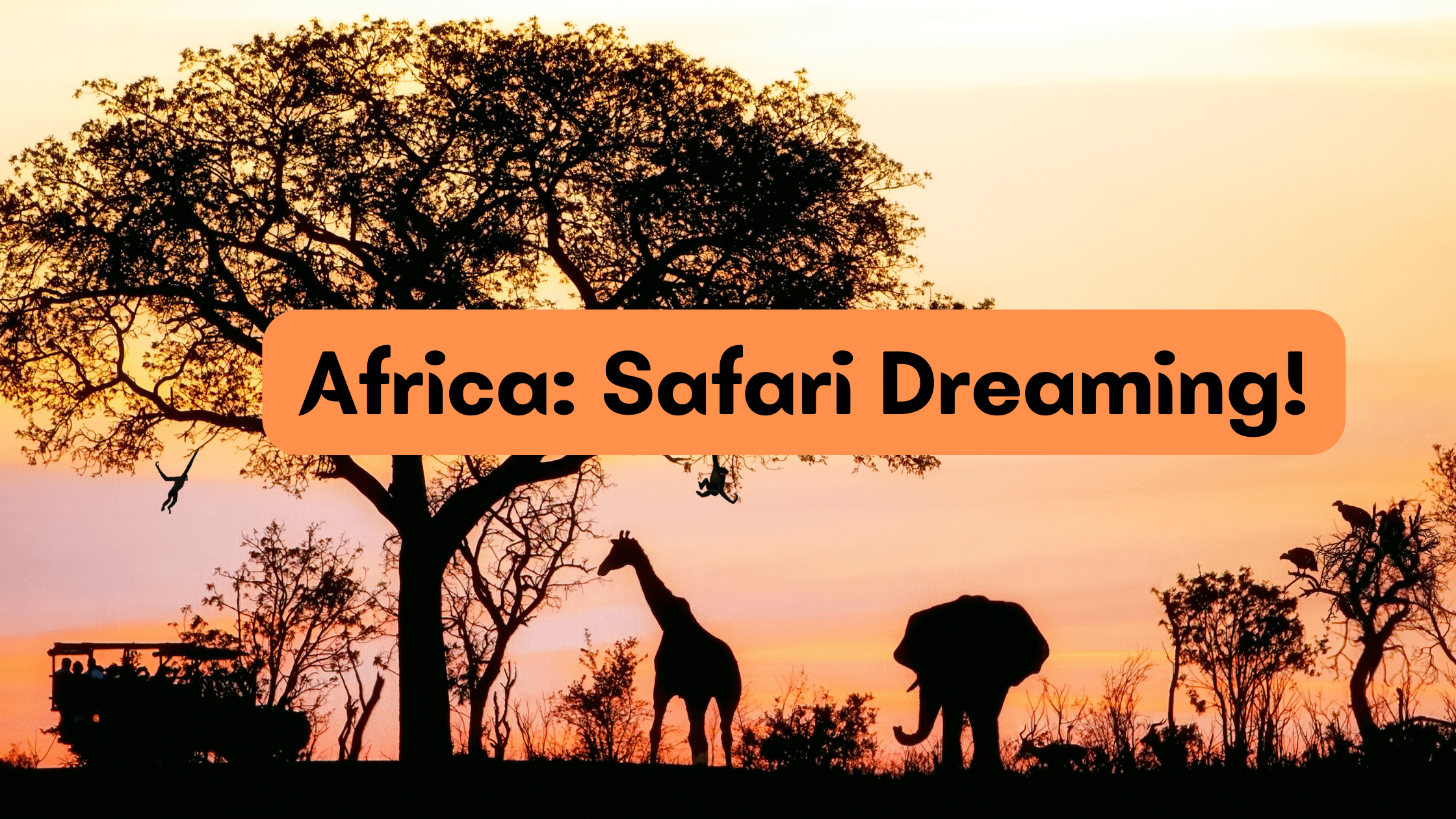 Africa Safari Dreaming