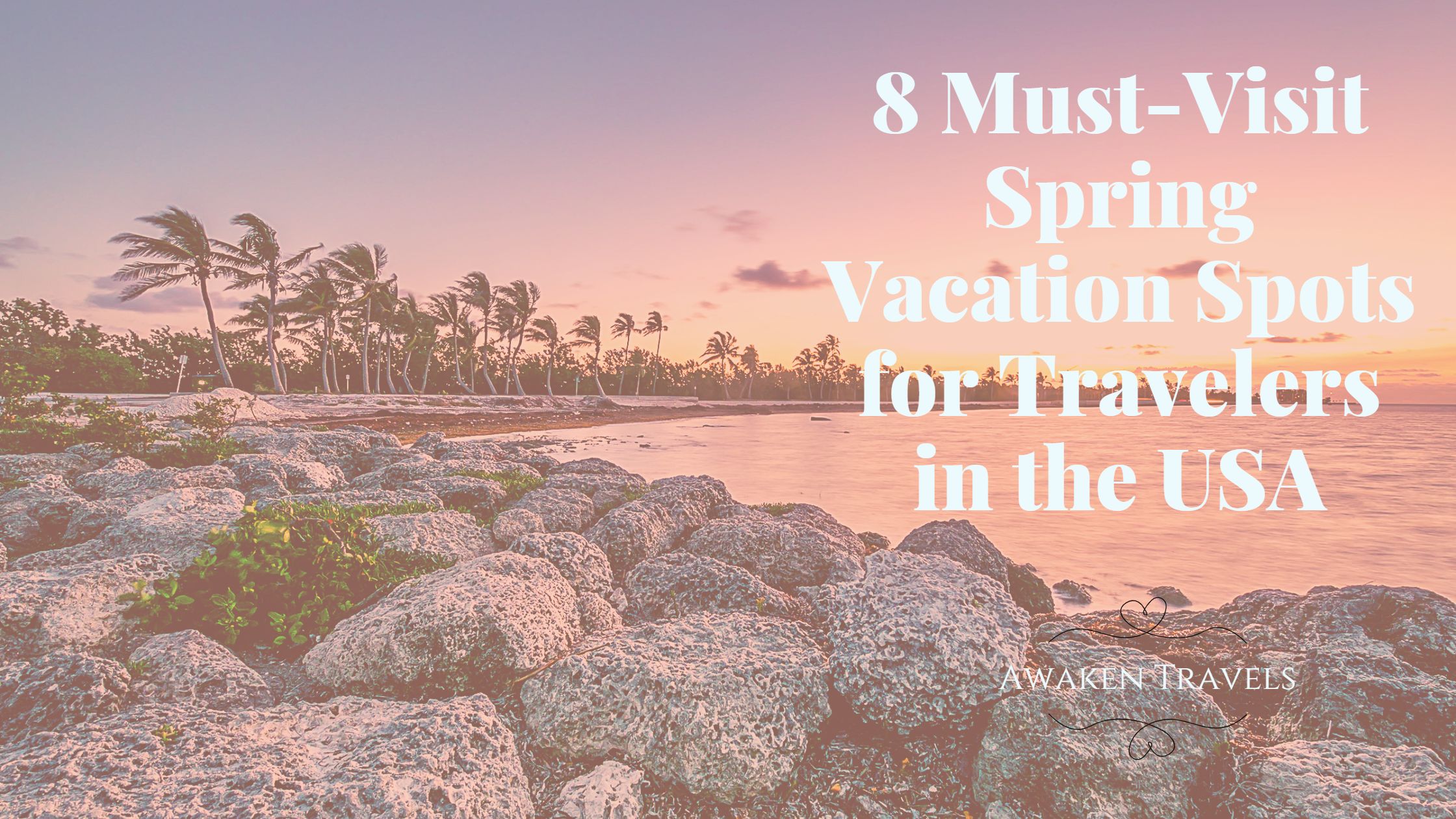 8 Must-Visit Spring Vacation Spots for Travelers in the USA