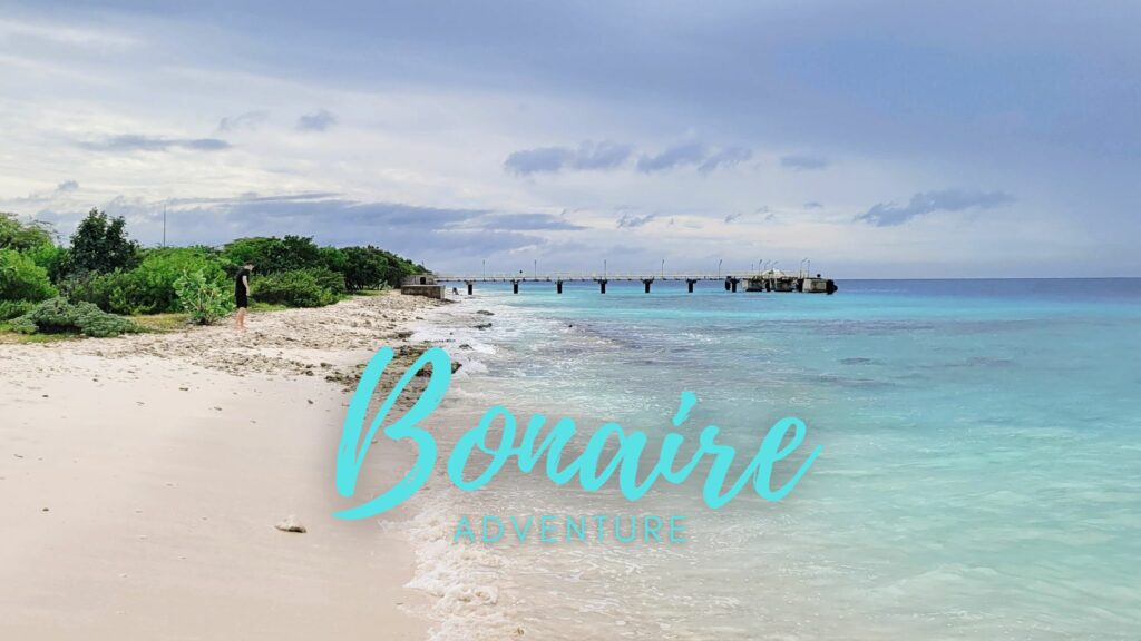 A Day in Bonaire