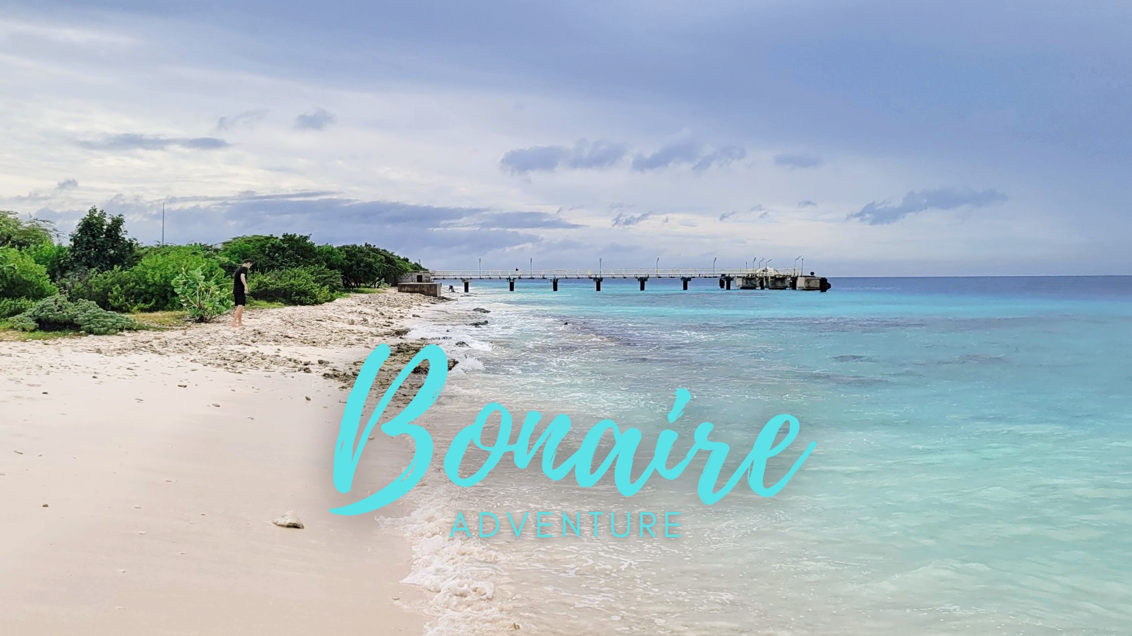 Contact us today to start planning your next vacation to the beautiful island of Bonaire!