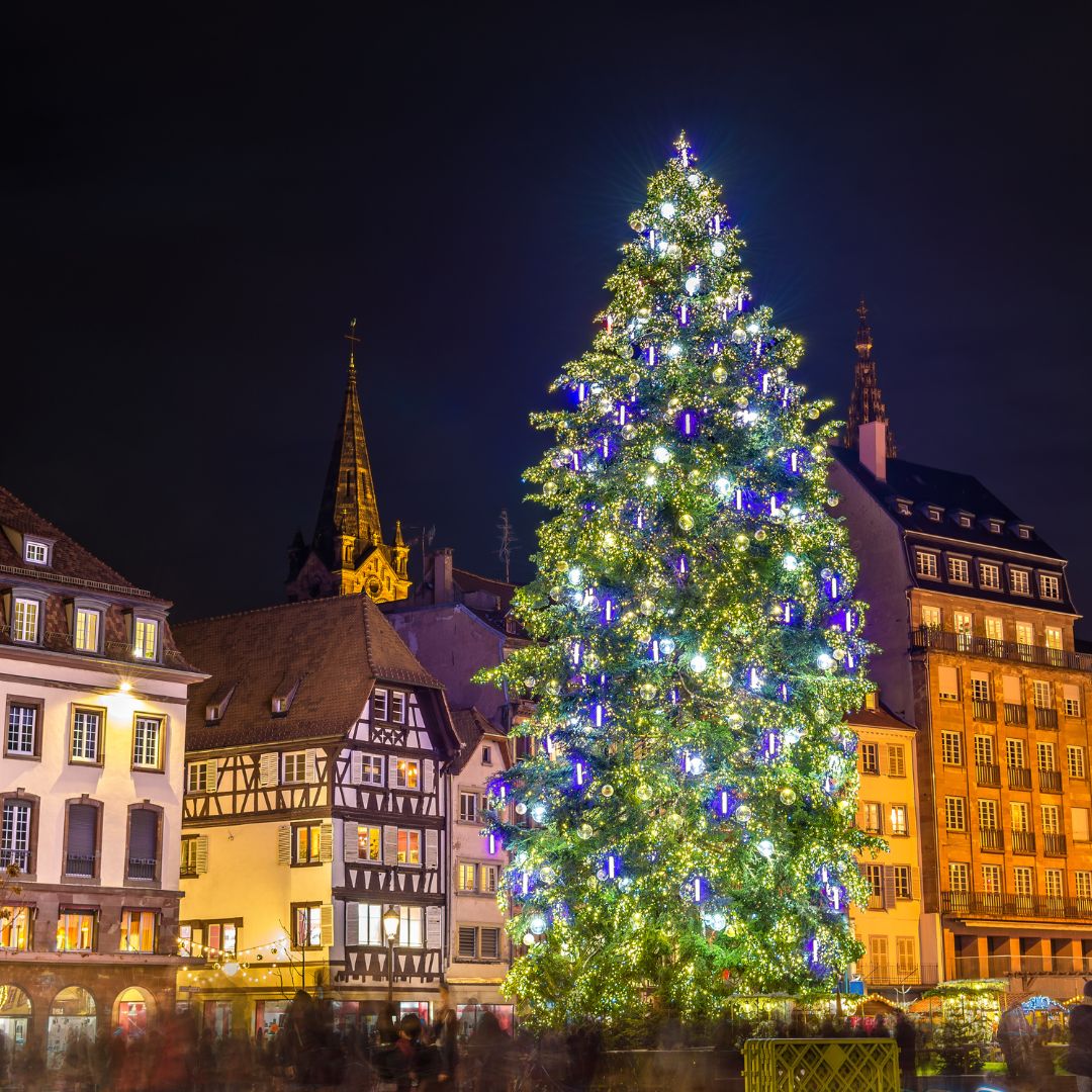 Majestic Christmas tree illuminating a quaint European square at night.