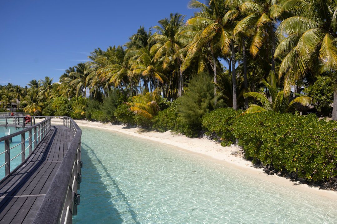 Marriott STARS & LUMINOUS: Luxury Travel Benefits Available Through Awaken Travels
